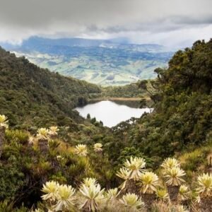 Laguna Y Páramo Del Galeras